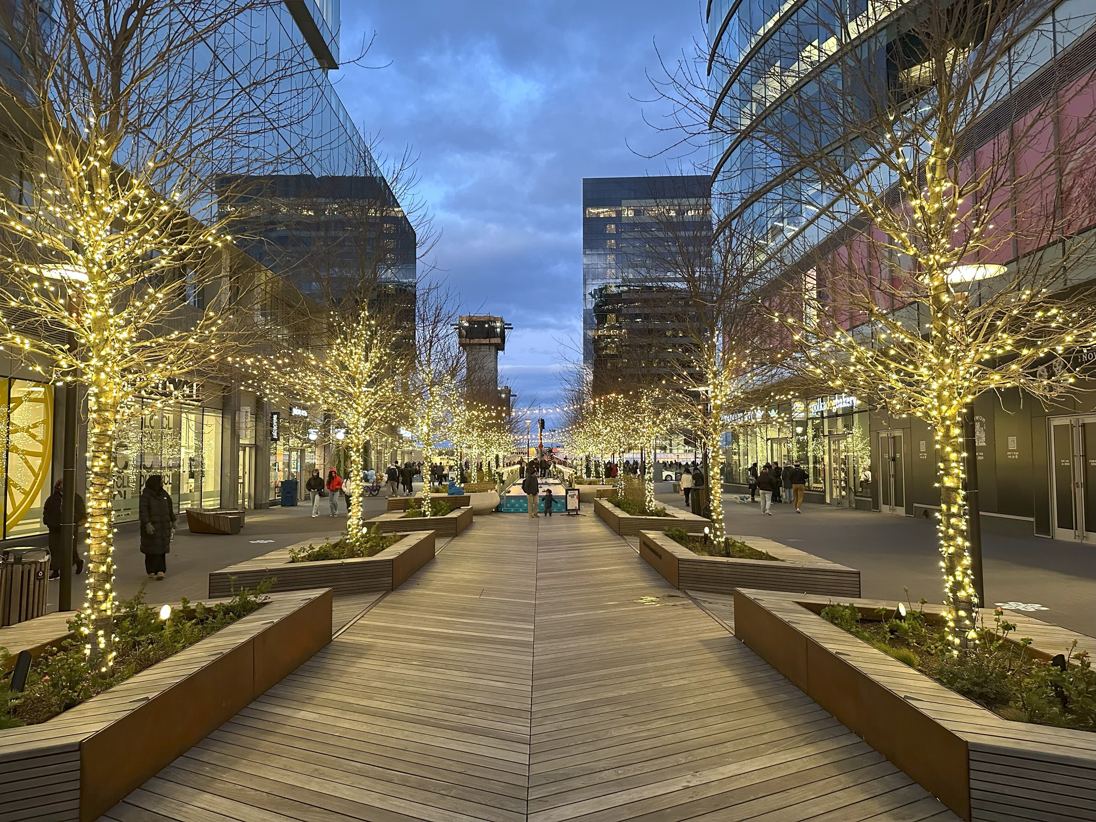 picture of snowport in boston